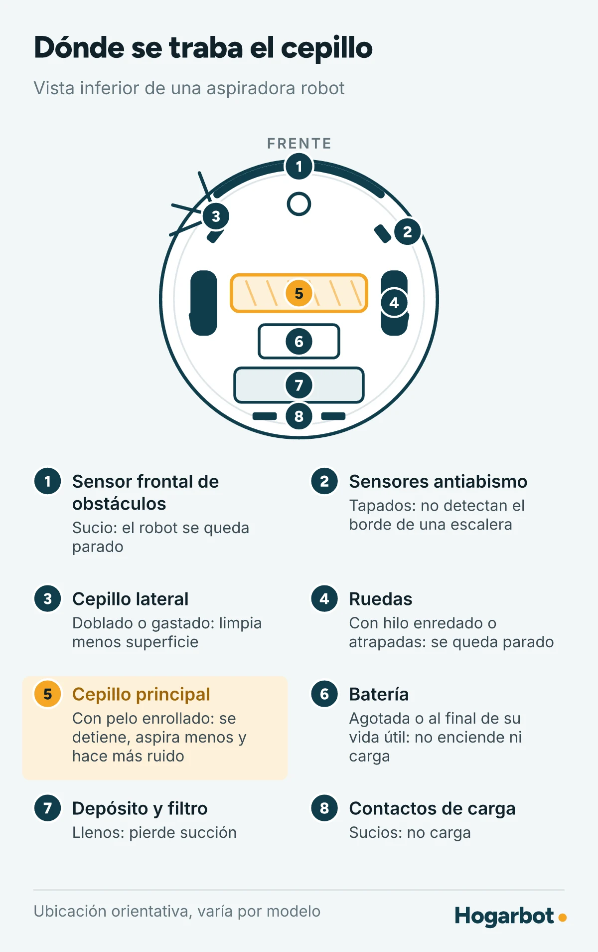 Vista inferior de una aspiradora robot con el cepillo principal destacado, la pieza que se traba con pelo e hilos